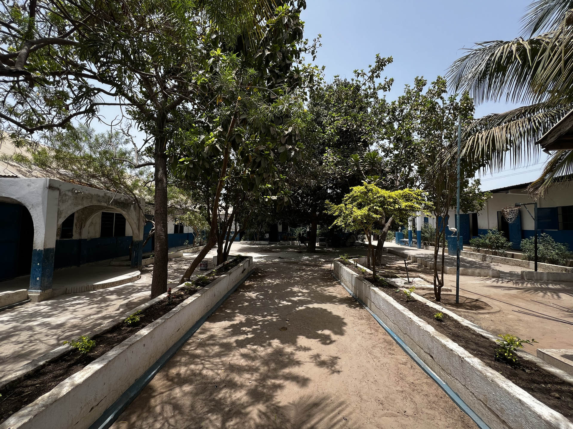 The Road Ahead: Our Vision for a Transformed Gambian Education Landscape